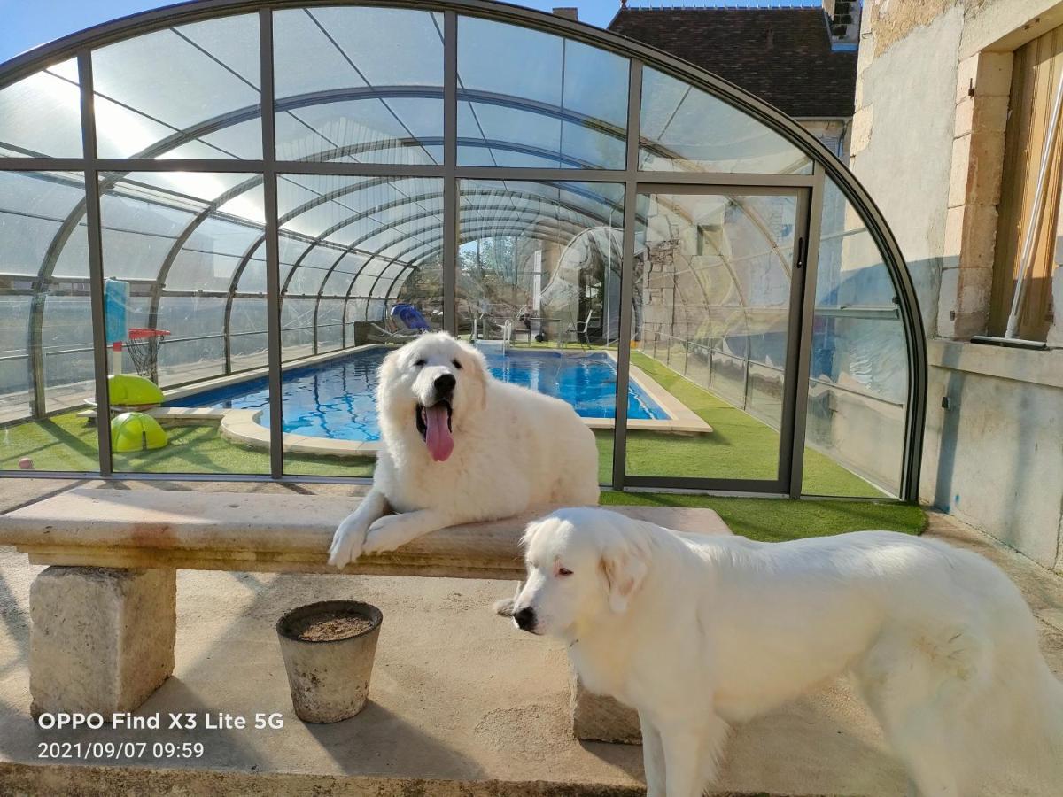 Mon Chateau En Berry Les Aix-d'Angillon Dış mekan fotoğraf