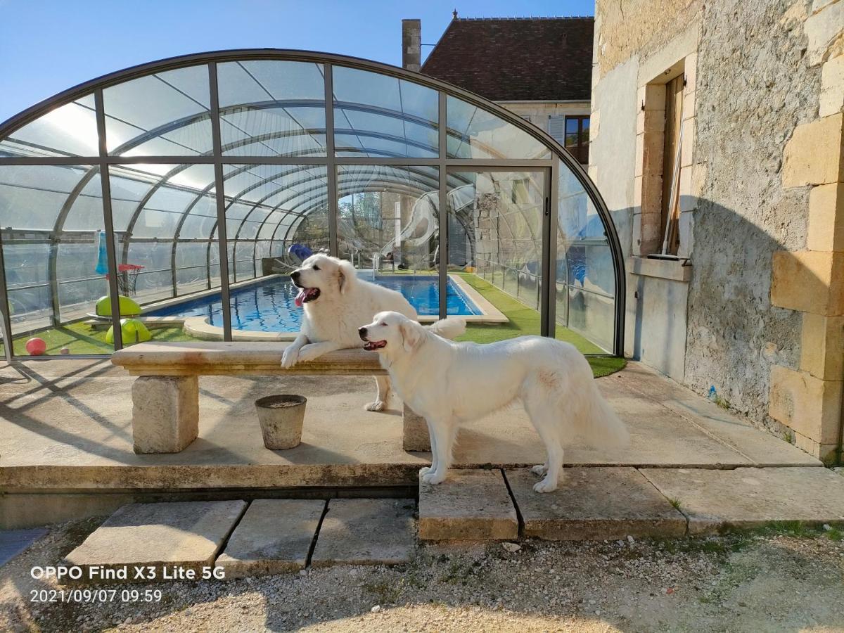 Mon Chateau En Berry Les Aix-d'Angillon Dış mekan fotoğraf